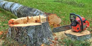 Best Tree Removal  in New Hope, AL