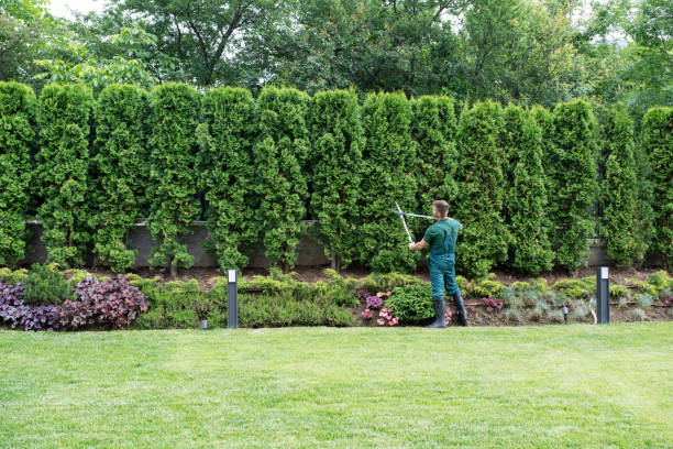 Best Tree and Shrub Care  in New Hope, AL