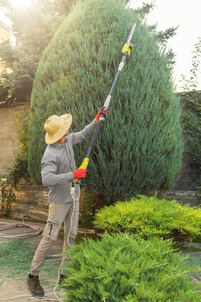 Best Hazardous Tree Removal  in New Hope, AL